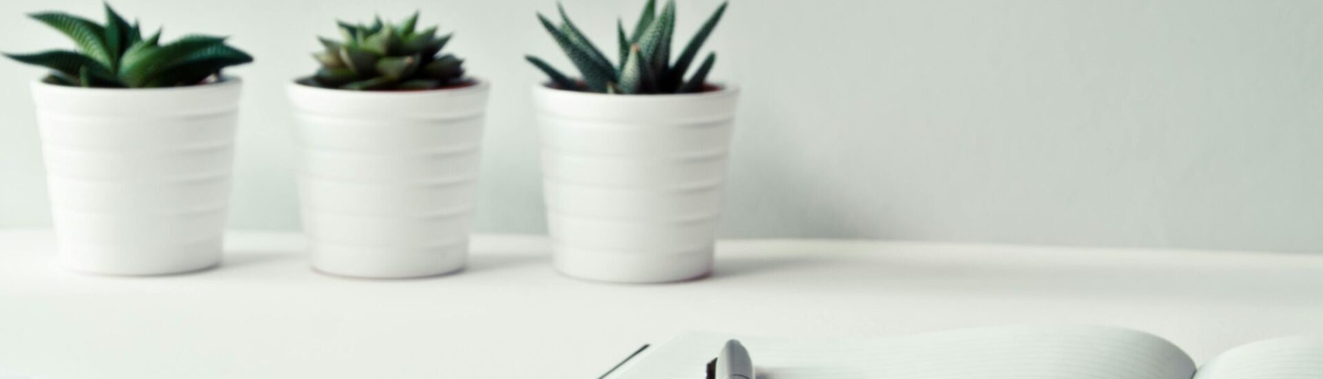 Spotkanie w ramach sieci współpracy i samokształcenia Dyrektorów Poradni Psychologiczno-Pedagogicznych województwa podkarpackiego